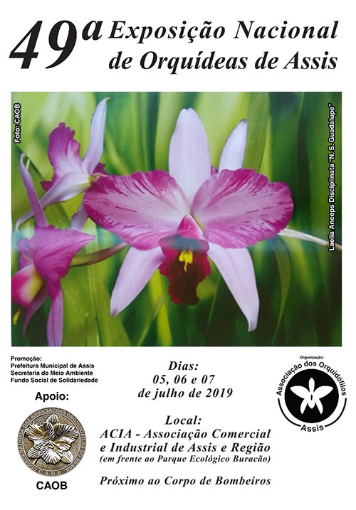 Divulgação - Exposição de Orquídeas em Assis