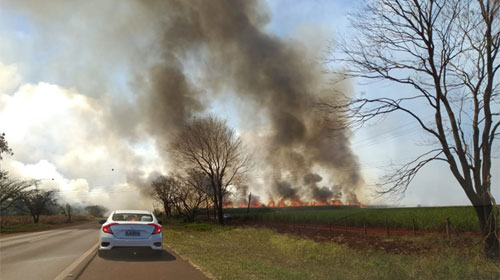 arquivo pessoal - As chamas atingiram uma área de cerca de 100 hectares