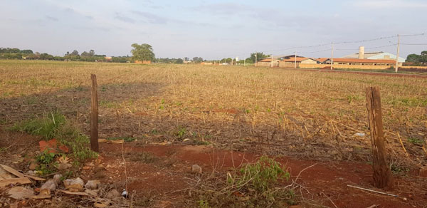 Divulgação - Moradores reclamam de propriedade usada como área de plantio para diversas culturas, como milho e soja