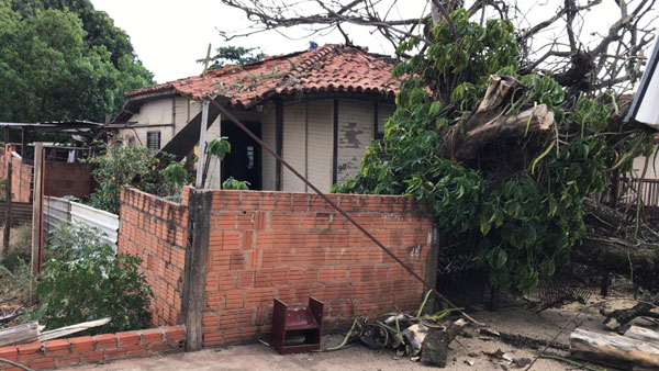 AssisCity - Casa ficou danificada após queda de árvore na Rua Dr. Lício Brandão de Camargo