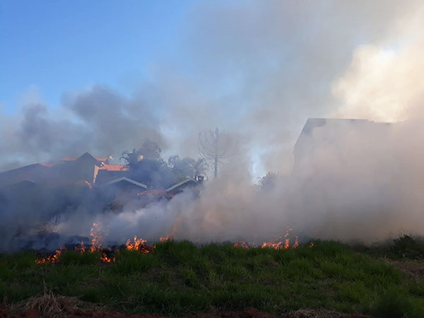 Divulgação - População pode denunciar queimadas urbanas pelo WhatsApp da Secretaria de Meio Ambiente de Assis