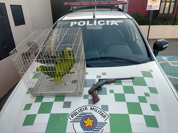Divulgação PM Ambiental - Foi apreendida uma espingarda garrucha e dois papagaios sem autorização para serem criados em cativeiro