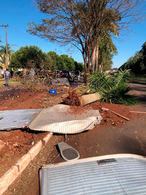 Divulgação - Motorista bate caminhonete em árvore na entrada principal de Cândido Mota