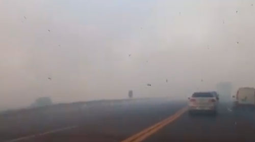 Divulgação - Fumaça se alastrou por grande parte da rodovia