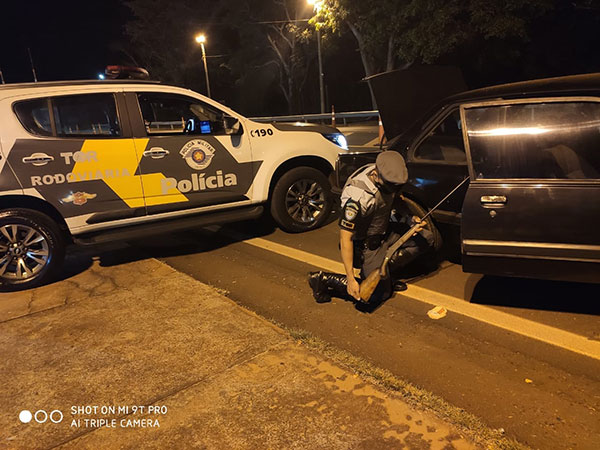 divulgação PM Rodoviária - Arma apreendida pelos policiais