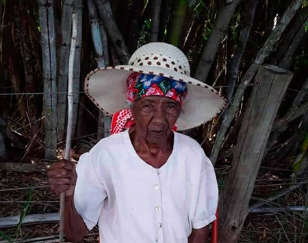 Divulgação - Francisca das Dores Medeiros, 109 anos