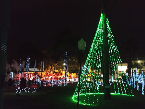 Luzes de Natal da Prefeitura de Assis são acesas e encantam a população