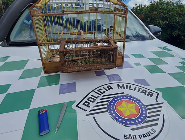 Polícia Militar Ambiental - Aves, materiais de caça e cigarro de maconha apreendidos
