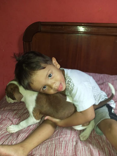 divulgação - Criança de 2 anos sofre com desaparecimento de cachorra; família oferece recompensa para quem localizá-la