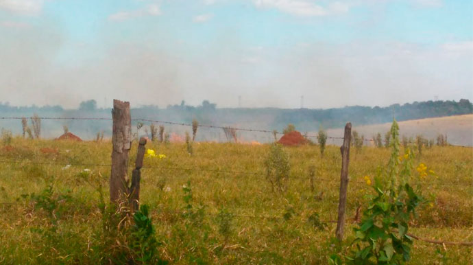Divulgação - Vizinhos registraram momento em que a fumaça tomou conta do pasto