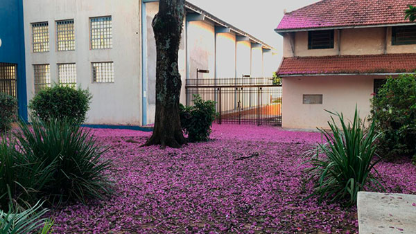 Divulgação - Praça da Vila Operária em Assis - Imagem: Portal AssisCity