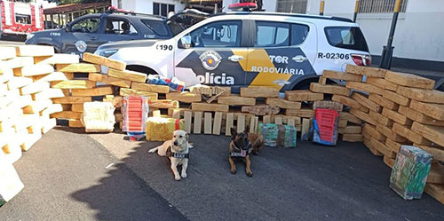 divulgação - Polícia Rodoviária encontra 1,7 toneladas de maconha em caminhão com fundo falso no baú em Santa Cruz do Rio Pardo
