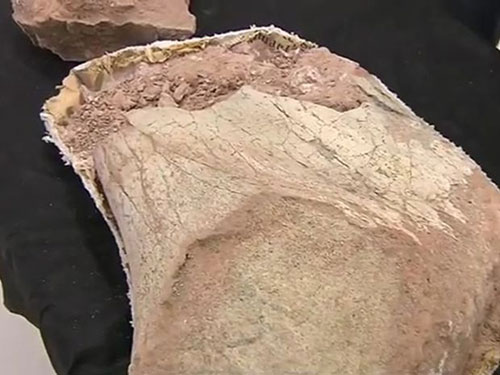 TV Tem - Escavação indica indícios de vida há 65 milhões de anos na região de Marília
