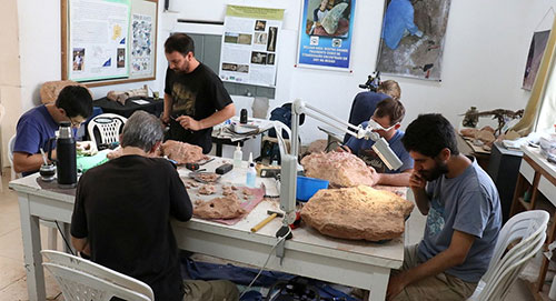 Mariana Agostinho/Arquivo pessoal - Equipe de pesquisadores preparando fósseis no Museu de Paleontologia de Marília, em 2019, quando chegaram descobertas de Presidente Prudente