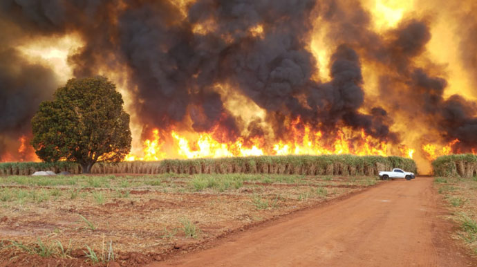 Divulgação - O incêndio se alastrou por mais de 3 km pelo canavial