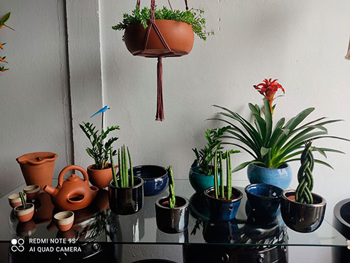 Divulgação - Moura oferece variedade em vasos para plantas e flores - Foto: divulgação