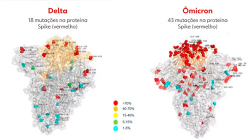 Divulgação - Primeira imagem da variante ômicron revela mais que o dobro de mutações que a delta — Foto: Cortesia Hospital Bambino Gesù de Roma