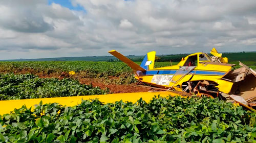 Divulgação - Aeronave agrícola faz pouso forçado às margens de rodovia em Paraguaçu Paulista — Foto: The Brothers/Divulgação