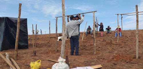 Divulgação - Integrantes da FNL ocuparam 13 fazendas no Pontal do Paranapanema neste sábado (26) — Foto: Luciano de Lima/FNL