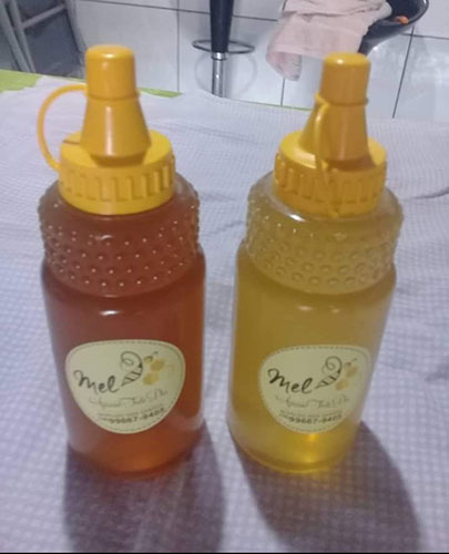 Divulgação - A captação de recursos para manter o projeto de Nivaldo é através da venda do mel e própolis