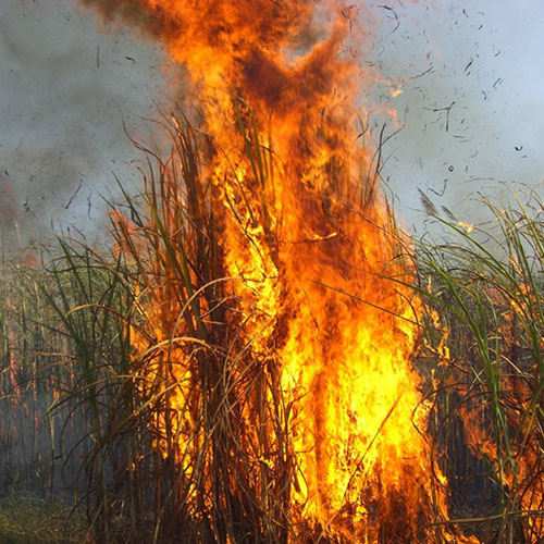Divulgação - A prática de incêndios em áreas agrícolas é crime - Foto: Divulgação