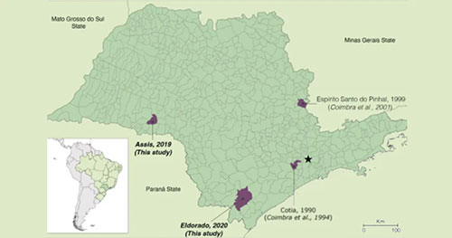 Divulgação - Mapa de São Paulo mostrando as cidades e os anos de infecções pelo vírus sabiá (SABV) - Foto: Assessoria de Comunicação FMUSP