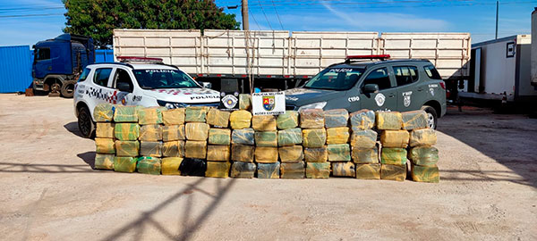 Divulgação - Droga apreendida pela PM - Foto: Divulgação/Polícia Militar