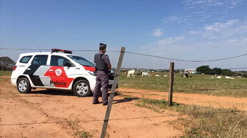 Divulgação - Acidente foi em um aeródromo particular em Álvares Machado (SP) — Foto: Arquivo/g1