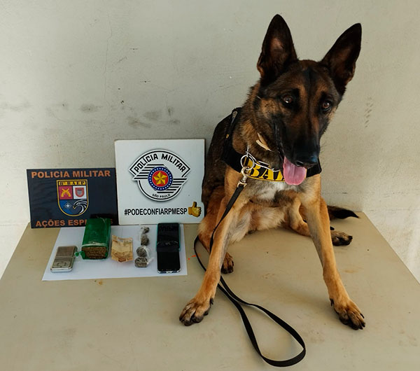 divulgação - Drogas apreendidas com auxilio da cadela Rayka - Foto: Divulgação/Polícia Militar
