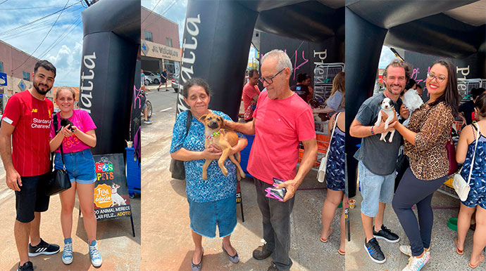 divulgação - Pets adotados na feira de adoção - Foto: Divulgação