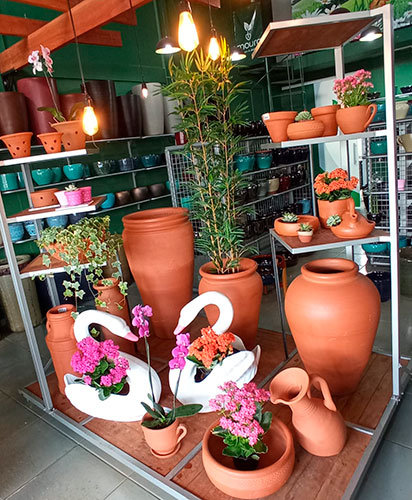 divulgação - Variedade em vasos na Moura Paisagismo e Jardinagem - Foto: Divulgação