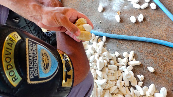 divulgação - Droga apreendida em cascas de batatas secas - Foto: Divulgação