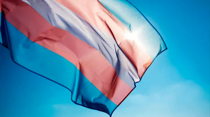 divulgação - Bandeira que representa pessoas transexuais - Foto: Divulgação