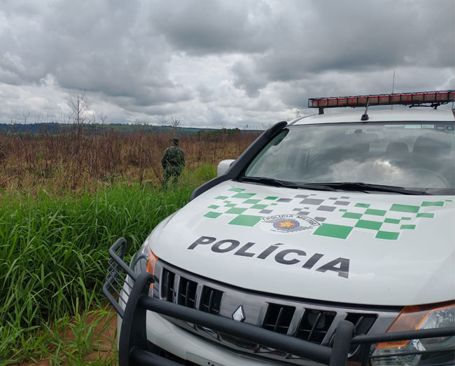Divulgação - Foto: Polícia Militar Ambiental