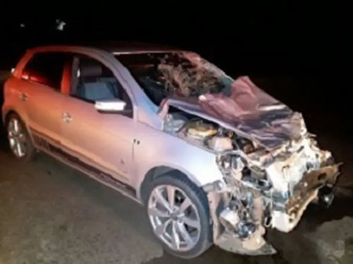 Divulgação - O carro ficou destruído em decorrência do choque com os animais - Foto: Polícia Militar Rodoviária