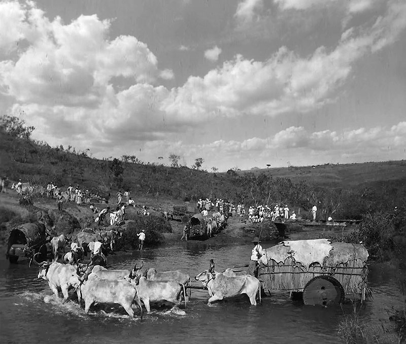 Os pioneiros vinham para região com suas famílias em carros de boi, atravessando rios e florestas - Foto acervo Luis Carlos de Barros