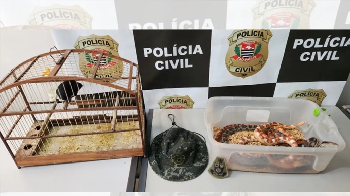 Divulgação - Animais encontrados em Bauru (SP) foram levados a órgãos ambientais da região — Foto: Polícia Ambiental/Divulgação