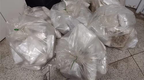 Divulgação/Polícia Civil - Polícia Rodoviária apreendeu 99 pacotes de skank e três tabletes de cocaína, em Presidente Prudente (SP) — Foto: Polícia Civil