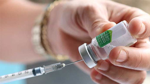 Divulgação - Baixa procura por vacina contra gripe em Assis preocupa a Secretaria da Saúde - FOTO: Divulgação