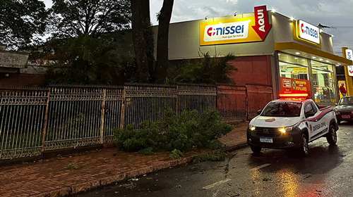 Portal AssisCity - Galhos de árvore também caíram na R. José Noguera Marmontel - FOTO: Portal AssisCity