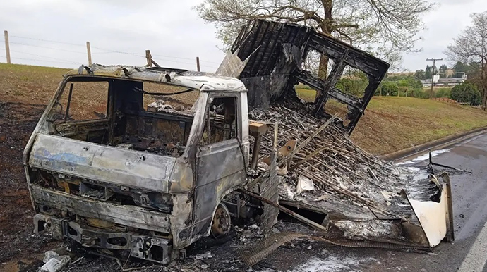 Corpo de Bombeiros/Divulgação - Filhotes de codorna morreram carbonizados após caminhão pegar fogo em Palmital — Foto: Corpo de Bombeiros/Divulgação