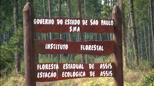 Divulgação - Floresta Estadual de Assis e Estação Ecológica de Assis - FOTO: Divulgação