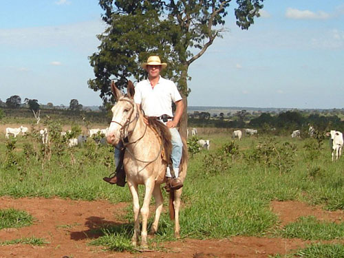 Estilo country, Marcelo Correia