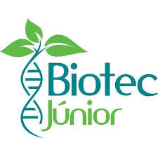Biocombustíveis