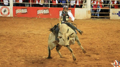 FICAR terá rodeio com a Companhia Rancho Primavera