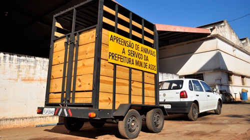 Prefeitura já dispõe de veículo para recolher animais