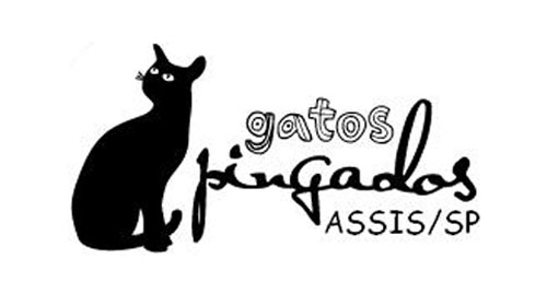 Movimento Gatos Pingados comemora recorde de assinaturas recolhidas
