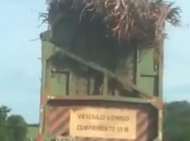 Caminhão é filmado transportando cana sem proteção