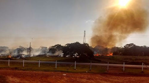 Incêndio destrói área verde da Prefeitura de Palmital