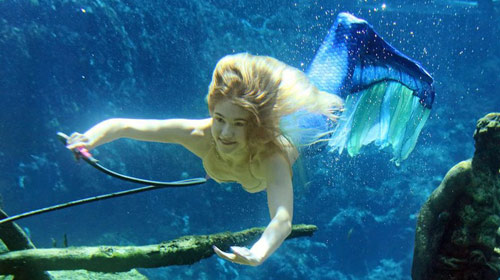 Parque contrata “sereias” nos EUA